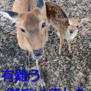 ヒメ日記 2025/10/16 00:46 投稿 ひさこ 熟女総本店 日本橋ミナミエリア店