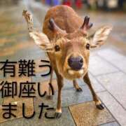 ヒメ日記 2025/10/17 13:59 投稿 ひさこ 熟女総本店 日本橋ミナミエリア店