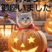 ヒメ日記 2025/10/23 17:09 投稿 ひさこ 熟女総本店 日本橋ミナミエリア店