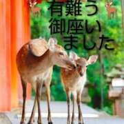 ヒメ日記 2025/10/25 16:55 投稿 ひさこ 熟女総本店 日本橋ミナミエリア店