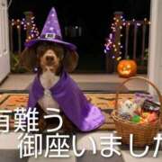 ヒメ日記 2025/10/31 14:56 投稿 ひさこ 熟女総本店 日本橋ミナミエリア店