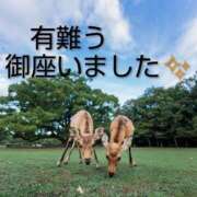 ヒメ日記 2025/11/01 10:46 投稿 ひさこ 熟女総本店 日本橋ミナミエリア店