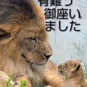 ヒメ日記 2025/11/01 12:16 投稿 ひさこ 熟女総本店 日本橋ミナミエリア店