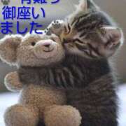 ヒメ日記 2025/11/04 21:56 投稿 ひさこ 熟女総本店 日本橋ミナミエリア店