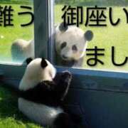 ヒメ日記 2025/11/05 11:06 投稿 ひさこ 熟女総本店 日本橋ミナミエリア店