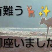 ヒメ日記 2025/11/16 15:56 投稿 ひさこ 熟女総本店 日本橋ミナミエリア店