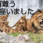 ヒメ日記 2025/11/18 22:46 投稿 ひさこ 熟女総本店 日本橋ミナミエリア店