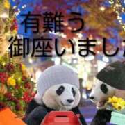 ヒメ日記 2025/11/22 10:36 投稿 ひさこ 熟女総本店 日本橋ミナミエリア店