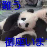 ヒメ日記 2025/11/29 01:16 投稿 ひさこ 熟女総本店 日本橋ミナミエリア店