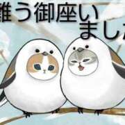 ヒメ日記 2025/11/30 07:26 投稿 ひさこ 熟女総本店 日本橋ミナミエリア店