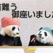 ヒメ日記 2025/12/01 07:56 投稿 ひさこ 熟女総本店 日本橋ミナミエリア店