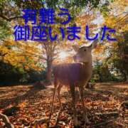 ヒメ日記 2025/12/07 08:03 投稿 ひさこ 熟女総本店 日本橋ミナミエリア店