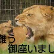 ひさこ ありがとう〜☘️☘️✨ 熟女総本店 日本橋ミナミエリア店