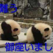 ヒメ日記 2025/12/16 22:36 投稿 ひさこ 熟女総本店 日本橋ミナミエリア店