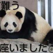 ヒメ日記 2025/12/19 20:46 投稿 ひさこ 熟女総本店 日本橋ミナミエリア店