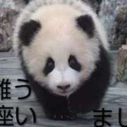 ヒメ日記 2025/12/20 10:26 投稿 ひさこ 熟女総本店 日本橋ミナミエリア店