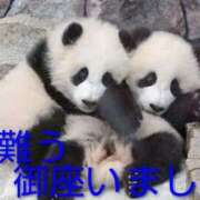 ヒメ日記 2025/12/21 19:06 投稿 ひさこ 熟女総本店 日本橋ミナミエリア店