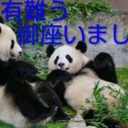 ヒメ日記 2025/12/22 18:06 投稿 ひさこ 熟女総本店 日本橋ミナミエリア店