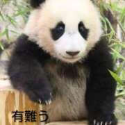 ヒメ日記 2025/12/23 13:56 投稿 ひさこ 熟女総本店 日本橋ミナミエリア店