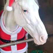 ヒメ日記 2025/12/25 10:16 投稿 ひさこ 熟女総本店 日本橋ミナミエリア店