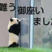 ヒメ日記 2025/12/28 08:46 投稿 ひさこ 熟女総本店 日本橋ミナミエリア店