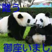 ひさこ ありがとう〜☘️☘️✨ 熟女総本店 日本橋ミナミエリア店