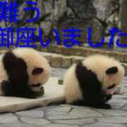 ヒメ日記 2025/12/31 02:06 投稿 ひさこ 熟女総本店 日本橋ミナミエリア店