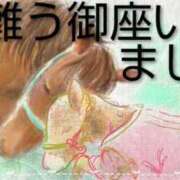 ヒメ日記 2026/01/03 13:58 投稿 ひさこ 熟女総本店 日本橋ミナミエリア店