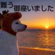 ヒメ日記 2026/01/06 09:06 投稿 ひさこ 熟女総本店 日本橋ミナミエリア店