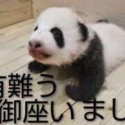 ひさこ ありがとう〜☘️☘️✨ 熟女総本店 日本橋ミナミエリア店