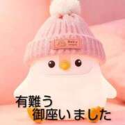 ヒメ日記 2026/01/14 20:36 投稿 ひさこ 熟女総本店 日本橋ミナミエリア店