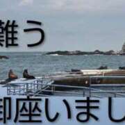 ヒメ日記 2026/01/18 23:16 投稿 ひさこ 熟女総本店 日本橋ミナミエリア店