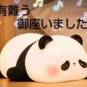 ヒメ日記 2026/01/21 23:56 投稿 ひさこ 熟女総本店 日本橋ミナミエリア店