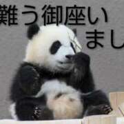 ヒメ日記 2026/01/22 03:46 投稿 ひさこ 熟女総本店 日本橋ミナミエリア店