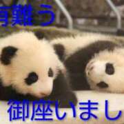 ヒメ日記 2026/01/24 00:56 投稿 ひさこ 熟女総本店 日本橋ミナミエリア店