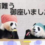 ヒメ日記 2026/01/25 19:36 投稿 ひさこ 熟女総本店 日本橋ミナミエリア店