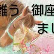 ヒメ日記 2026/01/26 03:06 投稿 ひさこ 熟女総本店 日本橋ミナミエリア店