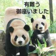 ヒメ日記 2026/01/29 18:56 投稿 ひさこ 熟女総本店 日本橋ミナミエリア店