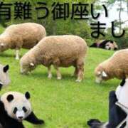 ヒメ日記 2026/01/29 23:26 投稿 ひさこ 熟女総本店 日本橋ミナミエリア店