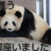 ヒメ日記 2026/01/31 01:06 投稿 ひさこ 熟女総本店 日本橋ミナミエリア店