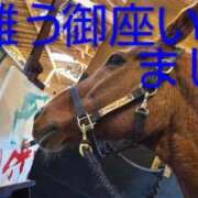 ヒメ日記 2026/02/01 19:16 投稿 ひさこ 熟女総本店 日本橋ミナミエリア店