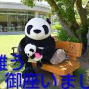 ヒメ日記 2026/02/01 22:49 投稿 ひさこ 熟女総本店 日本橋ミナミエリア店