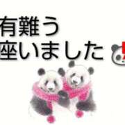 ヒメ日記 2026/02/07 13:28 投稿 ひさこ 熟女総本店 日本橋ミナミエリア店