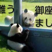 ヒメ日記 2026/02/07 14:01 投稿 ひさこ 熟女総本店 日本橋ミナミエリア店