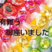 ヒメ日記 2026/02/10 02:16 投稿 ひさこ 熟女総本店 日本橋ミナミエリア店