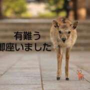 ヒメ日記 2026/02/10 18:56 投稿 ひさこ 熟女総本店 日本橋ミナミエリア店