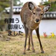 ヒメ日記 2026/02/13 20:36 投稿 ひさこ 熟女総本店 日本橋ミナミエリア店