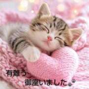 ヒメ日記 2026/02/19 20:33 投稿 ひさこ 熟女総本店 日本橋ミナミエリア店