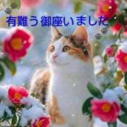 ヒメ日記 2026/02/20 20:36 投稿 ひさこ 熟女総本店 日本橋ミナミエリア店