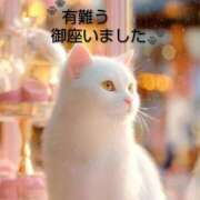 ヒメ日記 2026/02/21 11:58 投稿 ひさこ 熟女総本店 日本橋ミナミエリア店